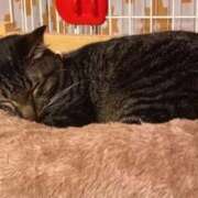 ヒメ日記 2025/08/24 09:24 投稿 諸星 えま 一夜妻　大阪ミナミ店