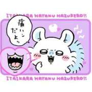 ヒメ日記 2026/01/11 20:04 投稿 諸星 えま 一夜妻　大阪ミナミ店