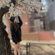 ヒメ日記 2025/04/18 15:48 投稿 YURIA GINGIRA☆TOKYO～ギンギラ東京～