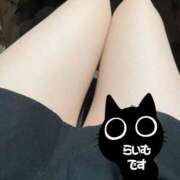 ヒメ日記 2026/03/17 17:02 投稿 らいむ スピードエコ難波店