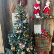 神楽★（かぐら）(二輪車可) 4年前 プリマドンナ