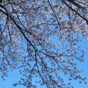 ヒメ日記 2025/04/13 11:49 投稿 まな Fairy～フェアリー～(神栖)