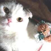 ヒメ日記 2025/06/10 16:22 投稿 まな Fairy～フェアリー～(神栖)