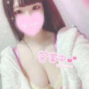 ヒメ日記 2025/01/26 23:12 投稿 みかん SEXIS-セクシーズ-