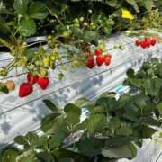 ヒメ日記 2025/02/27 16:37 投稿 みさ THE ESUTE 渋谷