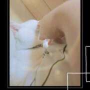 ヒメ日記 2025/04/28 02:05 投稿 高坂　あやの 熟女パラダイス甲府店（カサブランカグループ）