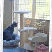 ヒメ日記 2025/05/04 16:09 投稿 高坂　あやの 熟女パラダイス甲府店（カサブランカグループ）