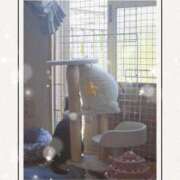 ヒメ日記 2025/05/08 01:41 投稿 高坂　あやの 熟女パラダイス甲府店（カサブランカグループ）