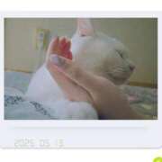 ヒメ日記 2025/05/13 02:09 投稿 高坂　あやの 熟女パラダイス甲府店（カサブランカグループ）