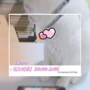 ヒメ日記 2025/05/14 12:57 投稿 高坂　あやの 熟女パラダイス甲府店（カサブランカグループ）