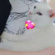 ヒメ日記 2025/06/07 16:05 投稿 高坂　あやの 熟女パラダイス甲府店（カサブランカグループ）