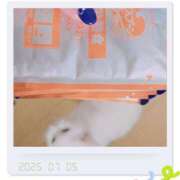 ヒメ日記 2025/07/05 00:47 投稿 高坂　あやの 熟女パラダイス甲府店（カサブランカグループ）