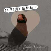 ヒメ日記 2025/07/10 16:53 投稿 高坂　あやの 熟女パラダイス甲府店（カサブランカグループ）