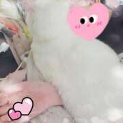 ヒメ日記 2025/07/31 01:13 投稿 高坂　あやの 熟女パラダイス甲府店（カサブランカグループ）