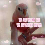 ヒメ日記 2025/08/09 03:47 投稿 高坂　あやの 熟女パラダイス甲府店（カサブランカグループ）