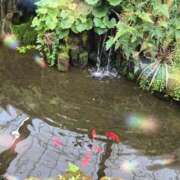 ヒメ日記 2025/08/15 18:45 投稿 高坂　あやの 熟女パラダイス甲府店（カサブランカグループ）