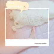 ヒメ日記 2025/08/20 00:17 投稿 高坂　あやの 熟女パラダイス甲府店（カサブランカグループ）