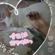 ヒメ日記 2025/09/27 12:55 投稿 高坂　あやの 熟女パラダイス甲府店（カサブランカグループ）