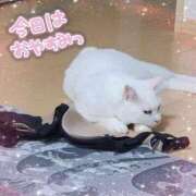 ヒメ日記 2025/10/19 10:41 投稿 高坂　あやの 熟女パラダイス甲府店（カサブランカグループ）