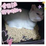 ヒメ日記 2025/12/03 17:53 投稿 高坂　あやの 熟女パラダイス甲府店（カサブランカグループ）