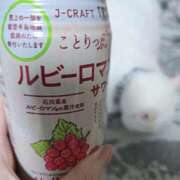 高坂　あやの 明日は行けたら… 熟女パラダイス甲府店（カサブランカグループ）