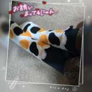 高坂　あやの 出勤、０時まで?? 熟女パラダイス甲府店（カサブランカグループ）