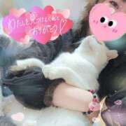 ヒメ日記 2025/12/20 13:19 投稿 高坂　あやの 熟女パラダイス甲府店（カサブランカグループ）