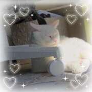 高坂　あやの 暫しお待ちを...???♀???´- 熟女パラダイス甲府店（カサブランカグループ）