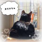 ヒメ日記 2026/04/13 13:35 投稿 高坂　あやの 熟女パラダイス甲府店（カサブランカグループ）