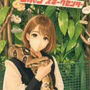 ヒメ日記 2026/05/31 11:57 投稿 高坂　あやの 熟女パラダイス甲府店（カサブランカグループ）