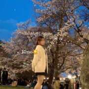 ヒメ日記 2025/04/12 21:33 投稿 りの 素敵な女の子は好きですか？