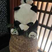 ヒメ日記 2025/04/25 17:18 投稿 りの 素敵な女の子は好きですか？