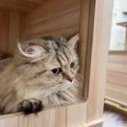 ヒメ日記 2025/09/28 02:21 投稿 りの 素敵な女の子は好きですか？