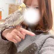 ヒメ日記 2026/01/21 18:19 投稿 りの 素敵な女の子は好きですか？