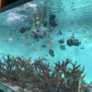 ヒメ日記 2025/06/08 08:52 投稿 吉良こうき ワイフコレクション