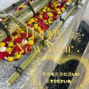 ヒメ日記 2026/01/01 23:32 投稿 吉良こうき ワイフコレクション