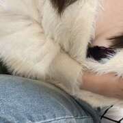 ヒメ日記 2024/12/27 18:44 投稿 せな 神田エマニエル