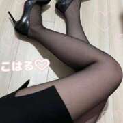 ヒメ日記 2025/08/16 08:56 投稿 こはる パンスト熟女はいやらしい