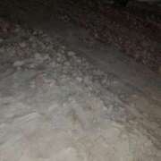 ヒメ日記 2025/01/27 10:18 投稿 ゆう Mrs Sirena（ミセスシレナ）