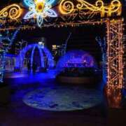 ヒメ日記 2025/02/12 23:18 投稿 ゆう Mrs Sirena（ミセスシレナ）