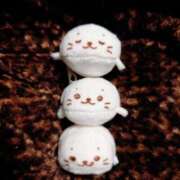 ヒメ日記 2025/06/13 13:29 投稿 ゆう Mrs Sirena（ミセスシレナ）