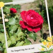 ヒメ日記 2025/07/08 18:29 投稿 ゆう Mrs Sirena（ミセスシレナ）