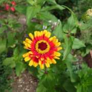 ヒメ日記 2025/08/26 17:30 投稿 ゆう Mrs Sirena（ミセスシレナ）