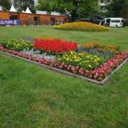 ヒメ日記 2025/09/10 02:31 投稿 ゆう Mrs Sirena（ミセスシレナ）