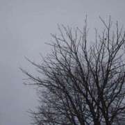 ヒメ日記 2025/12/27 18:29 投稿 ゆう Mrs Sirena（ミセスシレナ）