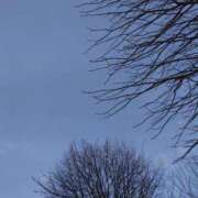 ヒメ日記 2026/03/13 12:28 投稿 ゆう Mrs Sirena（ミセスシレナ）