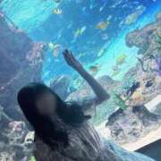 ヒメ日記 2025/07/22 02:11 投稿 めぐ マリン土浦本店