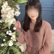 ヒメ日記 2025/11/06 21:01 投稿 めぐ マリン土浦本店