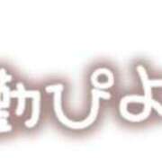 ヒメ日記 2024/10/31 00:50 投稿 かれん 山口周南ちゃんこ