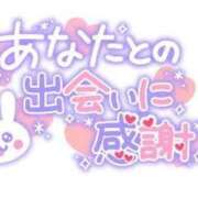 ヒメ日記 2024/11/15 19:39 投稿 かれん 山口周南ちゃんこ